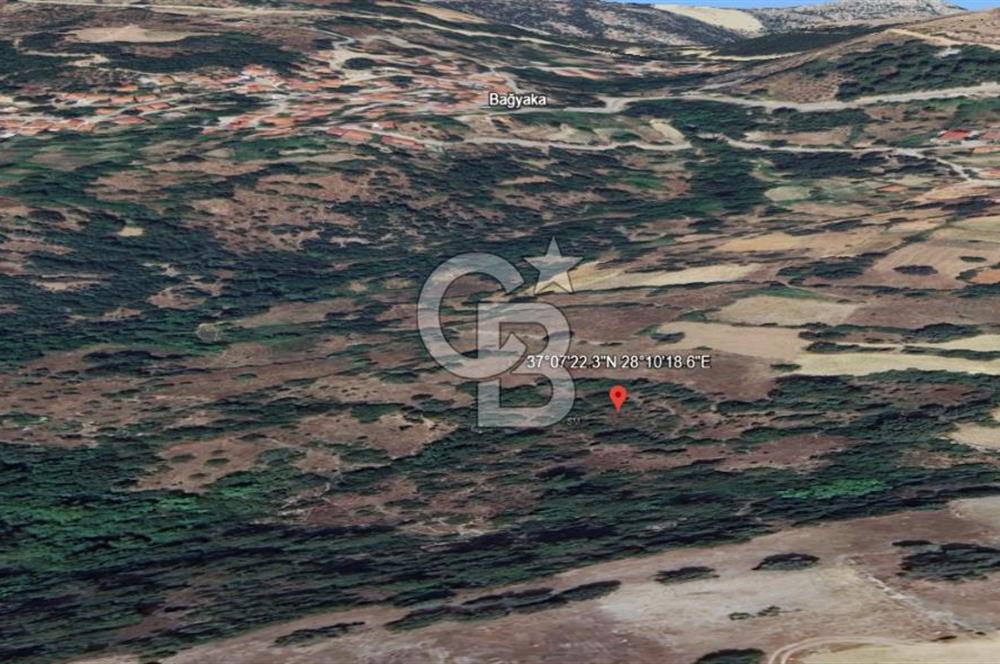 Menteşe Çatakbağyaka'da 3,572 m2 yatırımlık tarla