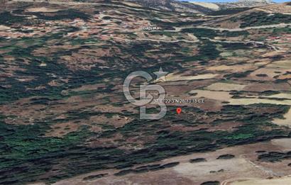 Menteşe Çatakbağyaka'da 3,572 m2 yatırımlık tarla
