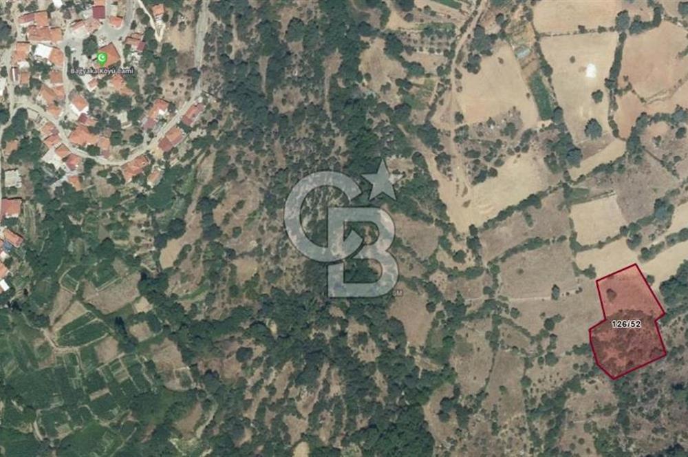 Menteşe Çatakbağyaka'da 3,572 m2 yatırımlık tarla