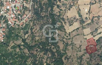 Menteşe Çatakbağyaka'da 3,572 m2 yatırımlık tarla