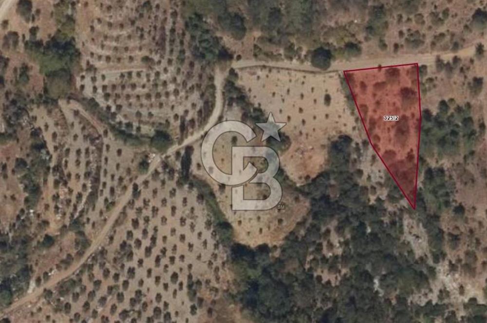 Muğla Çatakbağyaka Mahallesi'nde 2.091 m² Yatırımlık Tarla