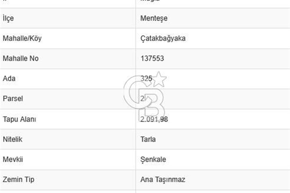 Muğla Çatakbağyaka Mahallesi'nde 2.091 m² Yatırımlık Tarla