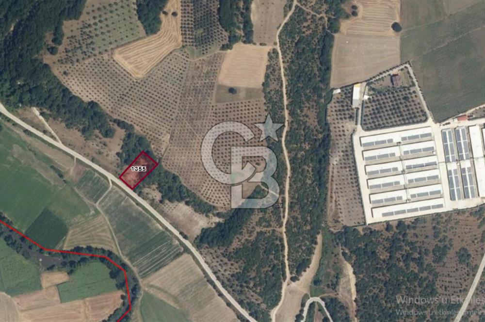 BURSA;MUDANYA,HANÇERLİDE ASFALT'A CEPHE SATILIK TARLA