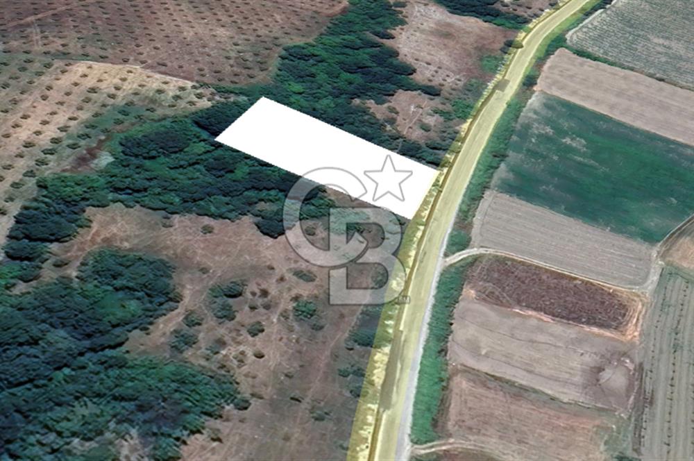 BURSA;MUDANYA,HANÇERLİDE ASFALT'A CEPHE SATILIK TARLA