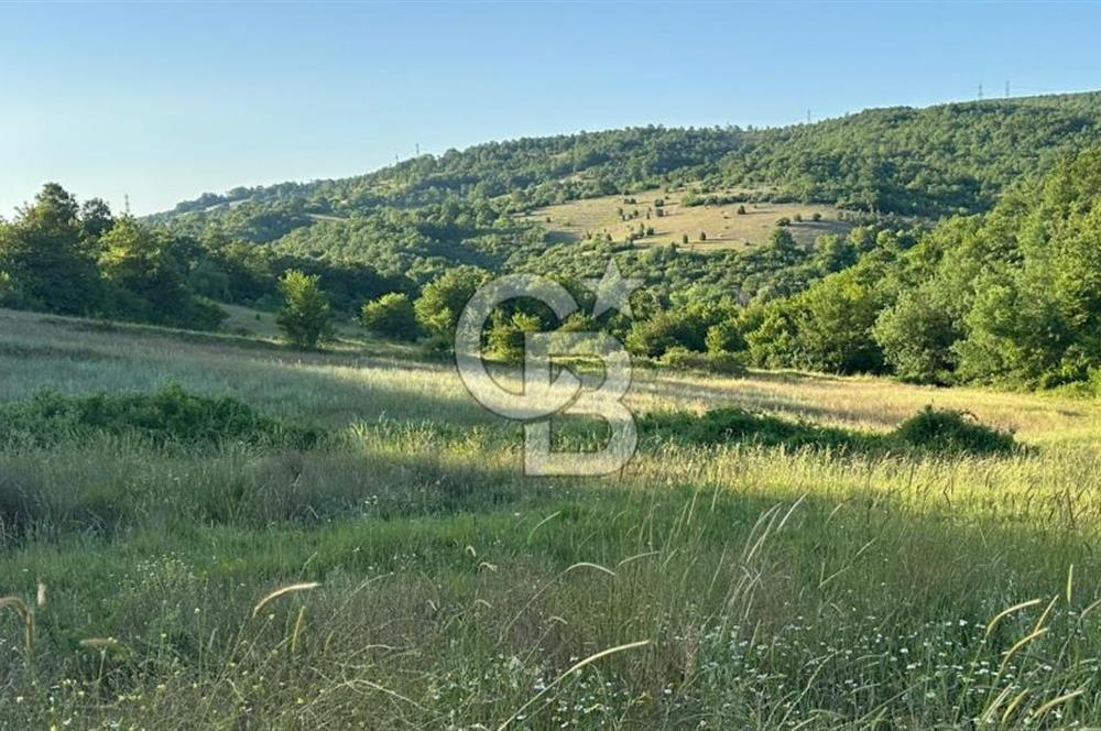 CBTAN-KOCAELİ/DERİNCE/KARAGÖLLÜ 6833M2 SATILIK FIRSAT ARAZİ