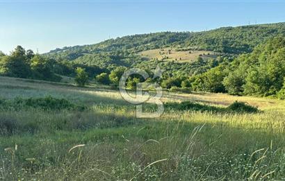 CBTAN-KOCAELİ/DERİNCE/KARAGÖLLÜ 6833M2 SATILIK FIRSAT ARAZİ