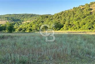 CBTAN-KOCAELİ/DERİNCE/KARAGÖLLÜ 6833M2 SATILIK FIRSAT ARAZİ
