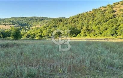 CBTAN-KOCAELİ/DERİNCE/KARAGÖLLÜ 6833M2 SATILIK FIRSAT ARAZİ
