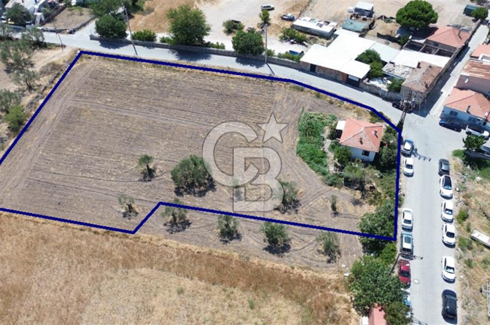 Çandarlı Yarımadada, Mükemmel Konumda 3.716 m2 Satılık Tarla
