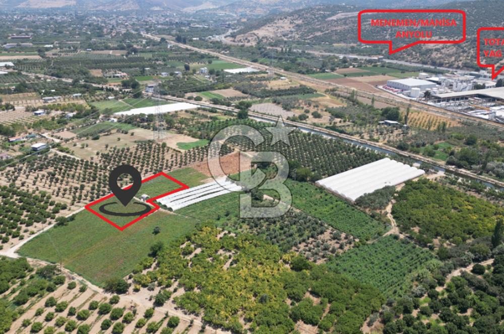 CB İYA'DAN MENEMEN EMRALEM'DE SATILIK TEK TAPU TARLA