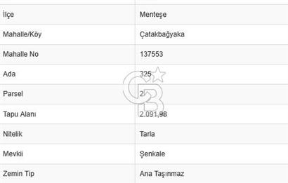 Muğla Çatakbağyaka Mahallesi'nde 2.091 m² Yatırımlık Tarla