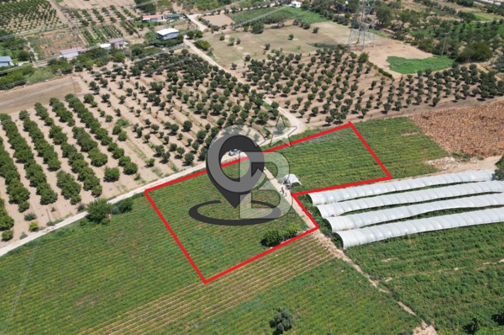 CB İYA'DAN MENEMEN EMRALEM'DE SATILIK TEK TAPU TARLA
