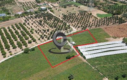 CB İYA'DAN MENEMEN EMRALEM'DE SATILIK TEK TAPU TARLA