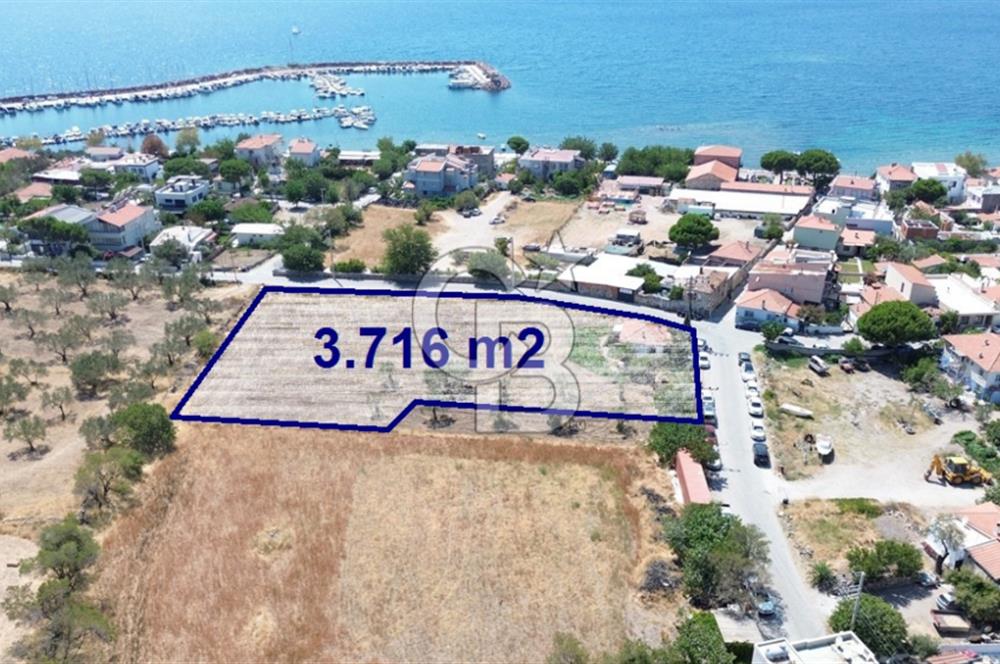 Çandarlı Yarımadada, Mükemmel Konumda 3.716 m2 Satılık Tarla