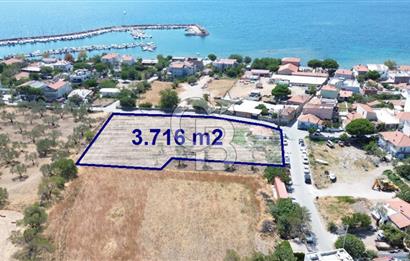 Çandarlı Yarımadada, Mükemmel Konumda 3.716 m2 Satılık Tarla