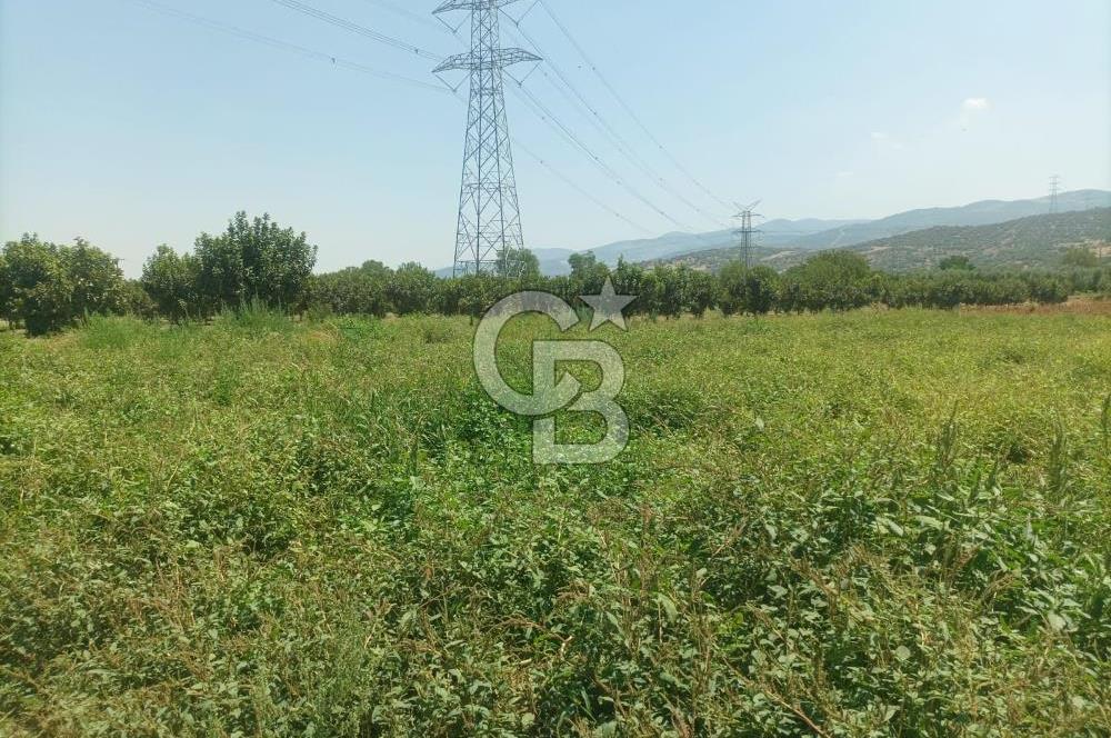 CB İYA'DAN MENEMEN EMRALEM'DE SATILIK TEK TAPU TARLA