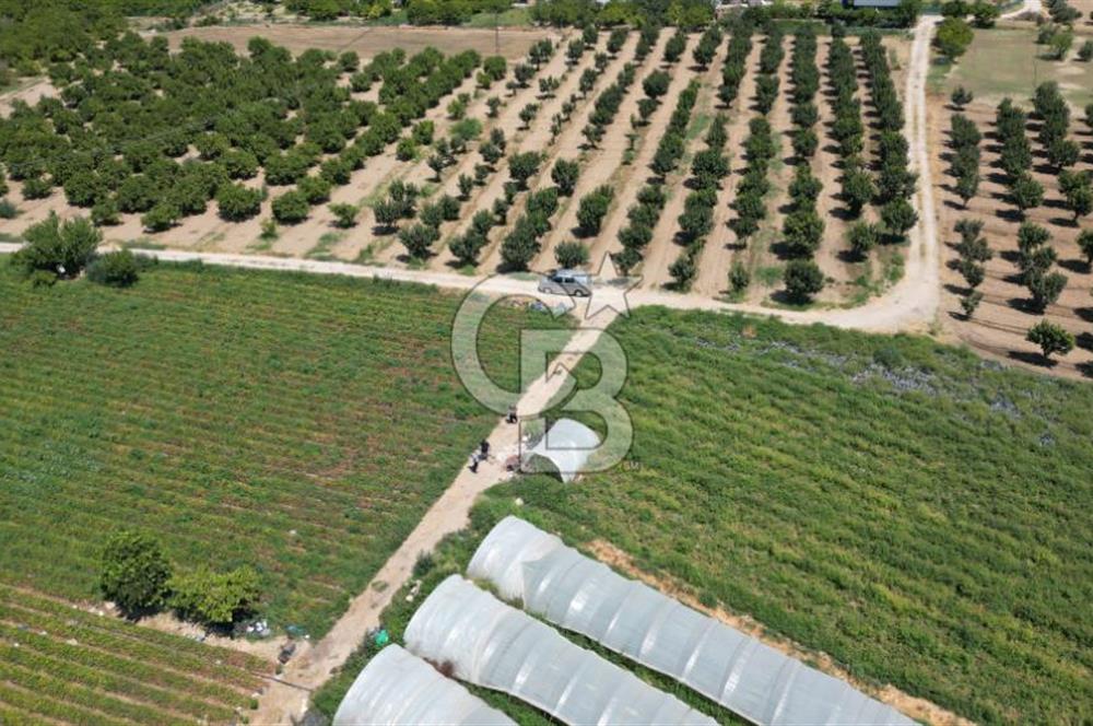 CB İYA'DAN MENEMEN EMRALEM'DE SATILIK TEK TAPU TARLA