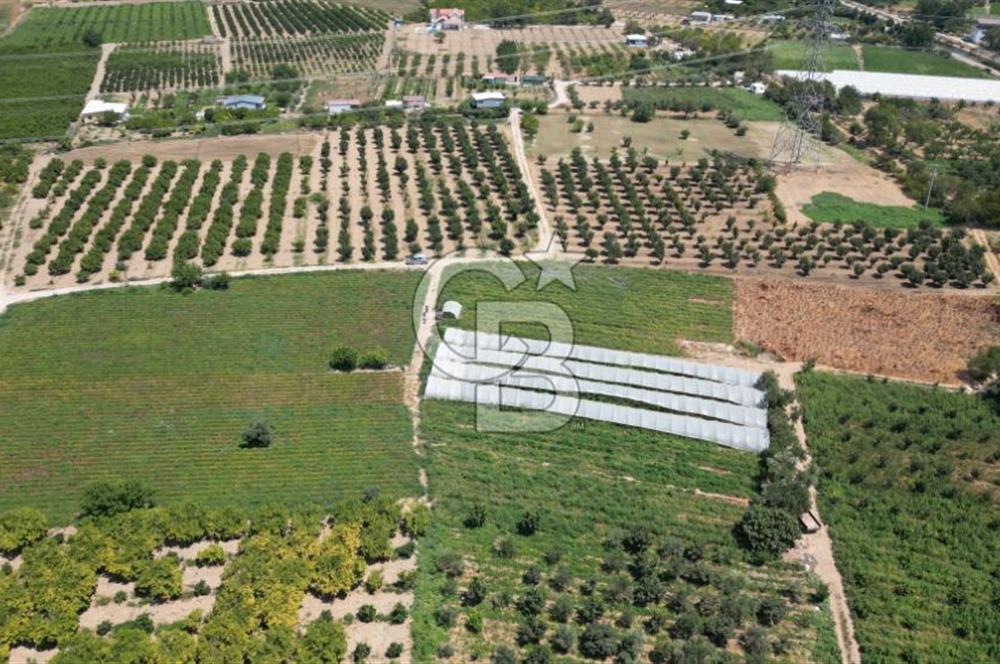 CB İYA'DAN MENEMEN EMRALEM'DE SATILIK TEK TAPU TARLA