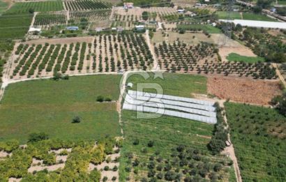 CB İYA'DAN MENEMEN EMRALEM'DE SATILIK TEK TAPU TARLA