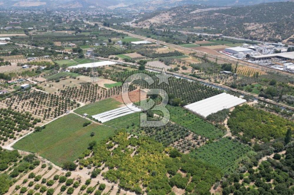 CB İYA'DAN MENEMEN EMRALEM'DE SATILIK TEK TAPU TARLA