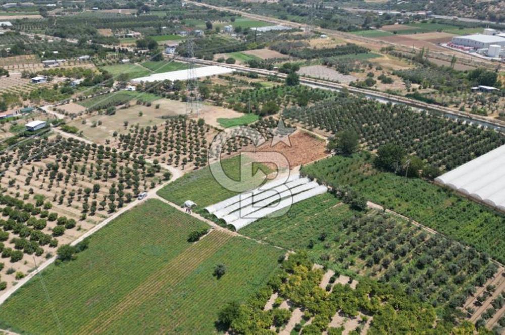 CB İYA'DAN MENEMEN EMRALEM'DE SATILIK TEK TAPU TARLA