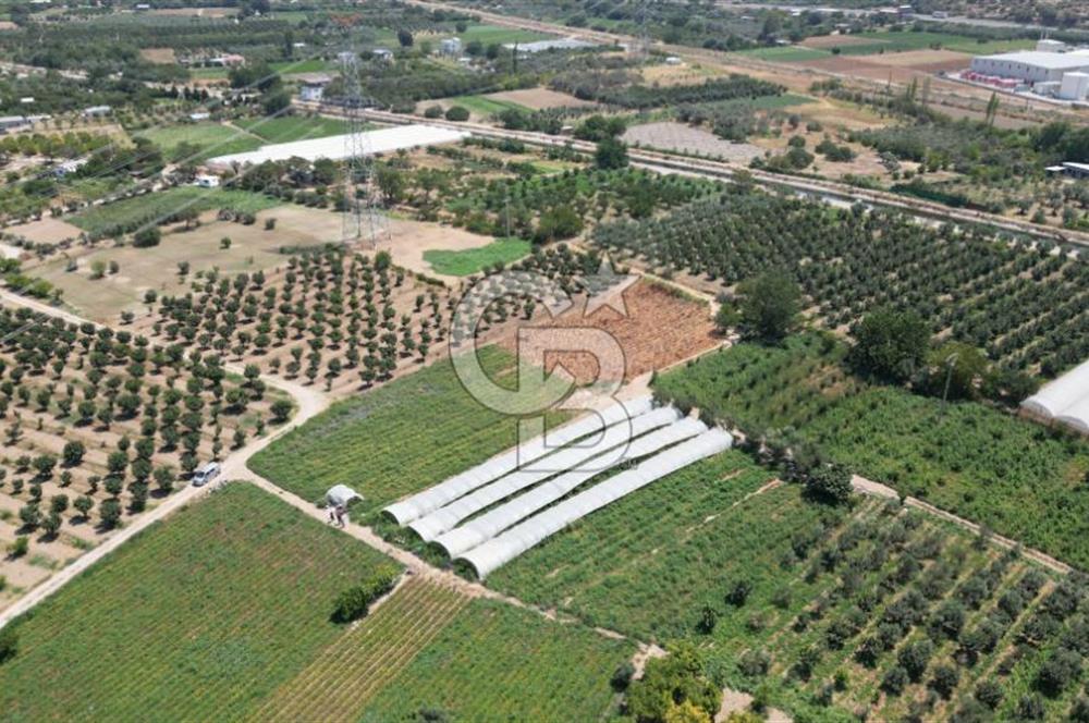 CB İYA'DAN MENEMEN EMRALEM'DE SATILIK TEK TAPU TARLA