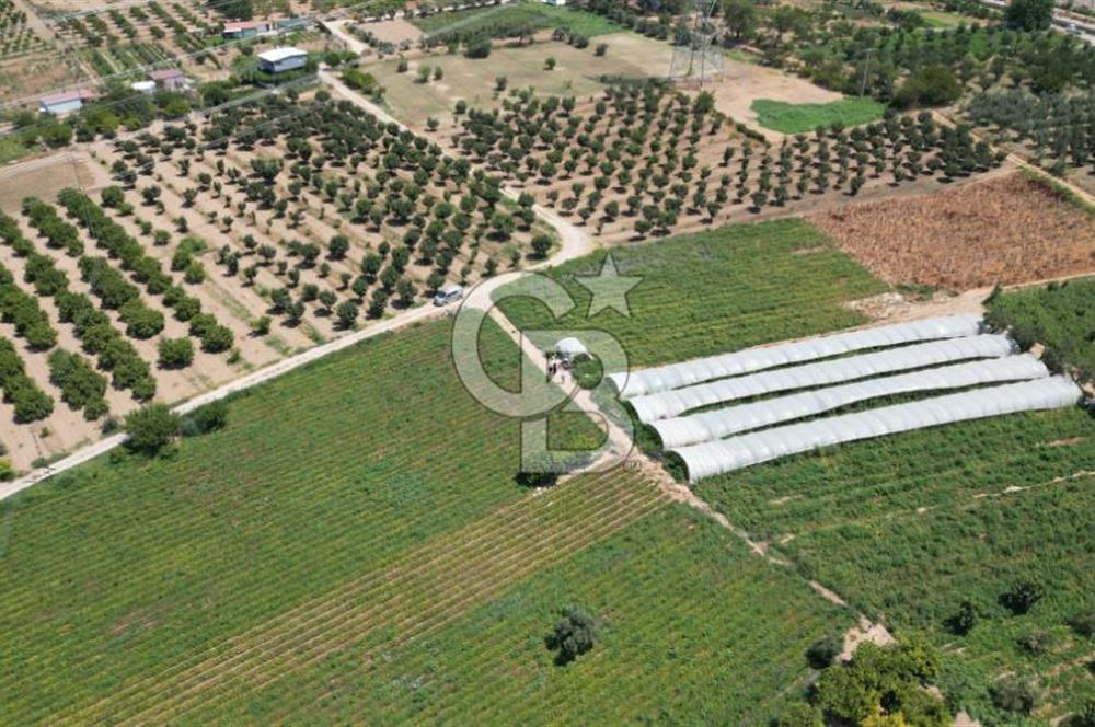 CB İYA'DAN MENEMEN EMRALEM'DE SATILIK TEK TAPU TARLA