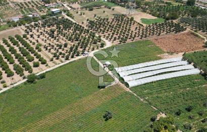 CB İYA'DAN MENEMEN EMRALEM'DE SATILIK TEK TAPU TARLA