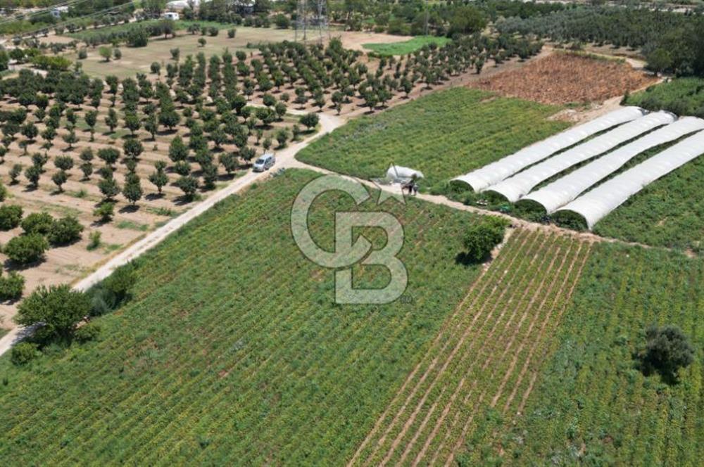 CB İYA'DAN MENEMEN EMRALEM'DE SATILIK TEK TAPU TARLA
