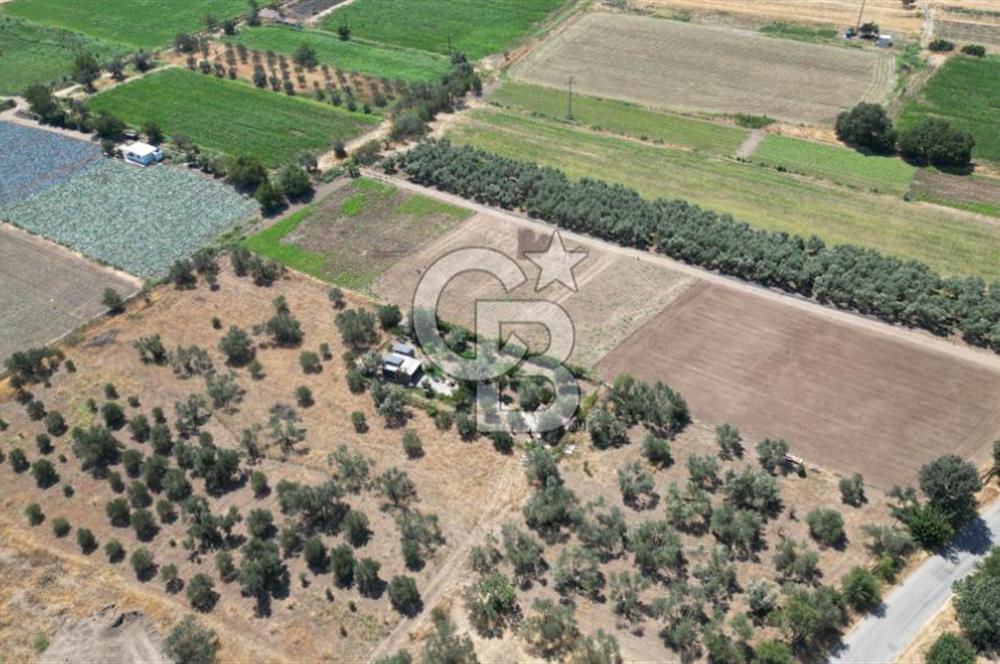 CB İYA'DAN ALİAĞA HELVACIDA SATILIK BÜYÜK PARSEL HOBİ ZEYTİN BAHÇESİ