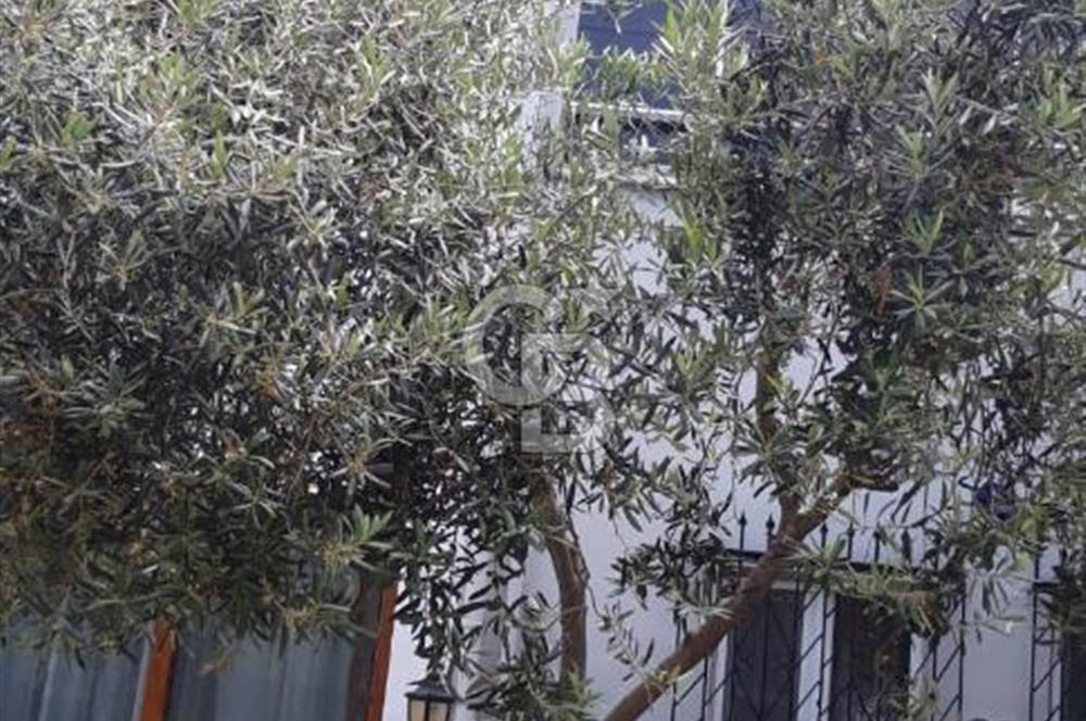 KÜÇÜKKUYU AYVACIKTA 2+1 86 M2 NET MÜSTAKİL BİNA