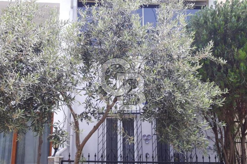 KÜÇÜKKUYU AYVACIKTA 2+1 86 M2 NET MÜSTAKİL BİNA