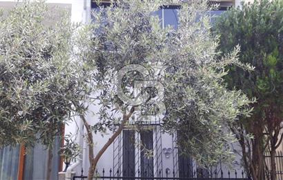 KÜÇÜKKUYU AYVACIKTA 2+1 86 M2 NET MÜSTAKİL BİNA