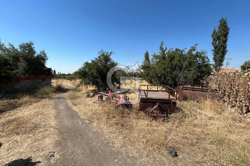 SALİHLİ YILMAZ MAH. KONUT İMARLI FIRSAT SATILIK ARSA