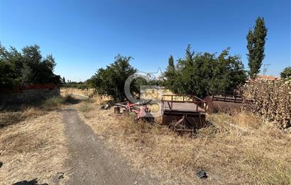 SALİHLİ YILMAZ MAH. KONUT İMARLI FIRSAT SATILIK ARSA