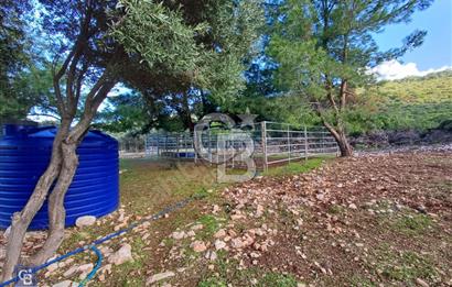 URLA'DA SATILIK ÇİFTLİK EVİ 