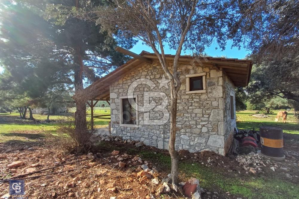 URLA'DA SATILIK ÇİFTLİK EVİ 