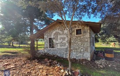 URLA'DA SATILIK ÇİFTLİK EVİ 