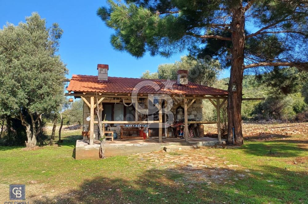 URLA'DA SATILIK ÇİFTLİK EVİ 