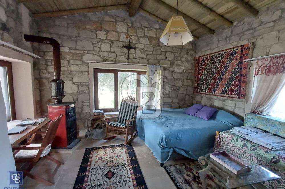 URLA'DA SATILIK ÇİFTLİK EVİ 