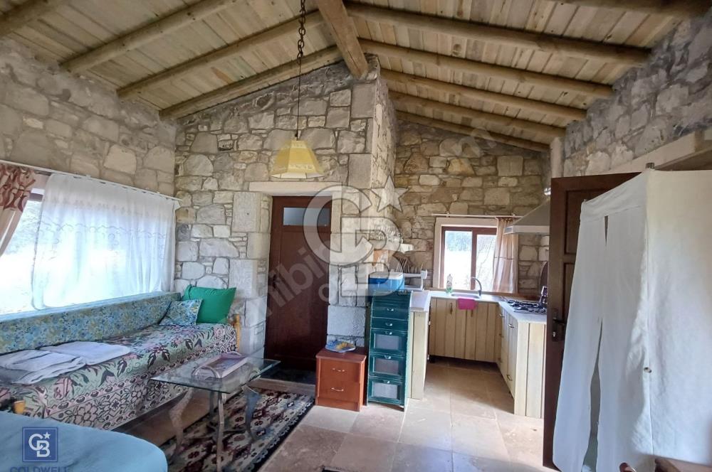 URLA'DA SATILIK ÇİFTLİK EVİ 