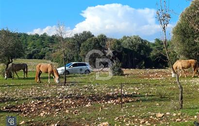 URLA'DA SATILIK ÇİFTLİK EVİ 