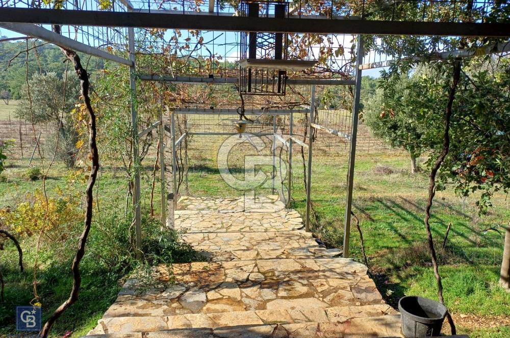 URLA'DA SATILIK ÇİFTLİK EVİ 