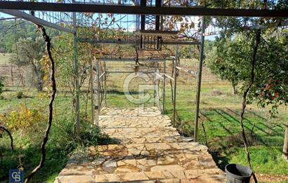 URLA'DA SATILIK ÇİFTLİK EVİ 