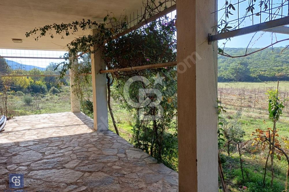 URLA'DA SATILIK ÇİFTLİK EVİ 