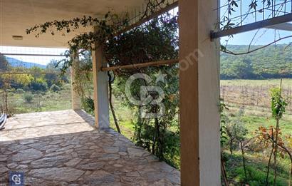 URLA'DA SATILIK ÇİFTLİK EVİ 