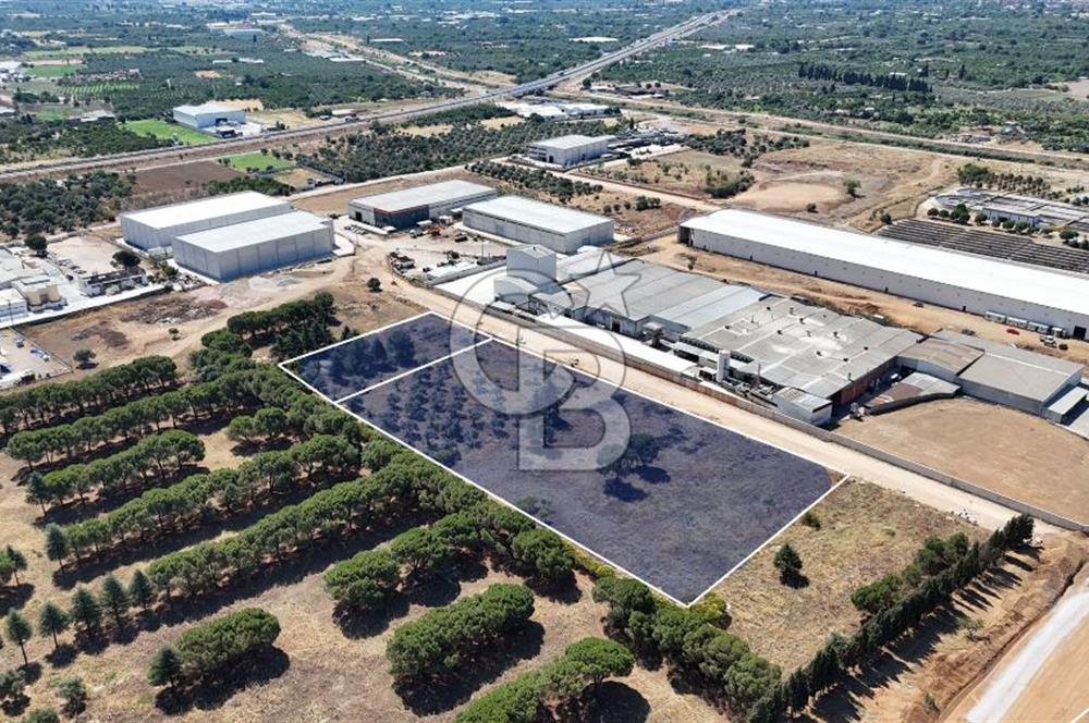 Kemalpaşa OSB'de 13 Dönüm Satılık Sanayi İmarlı Arsa