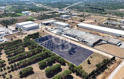 Kemalpaşa OSB'de 13 Dönüm Satılık Sanayi İmarlı Arsa