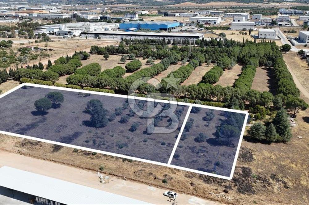 Kemalpaşa OSB'de 13 Dönüm Satılık Sanayi İmarlı Arsa