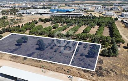 Kemalpaşa OSB'de 13 Dönüm Satılık Sanayi İmarlı Arsa